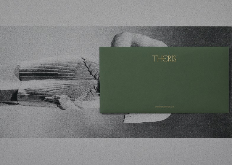 Theris 11